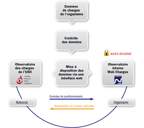 schema